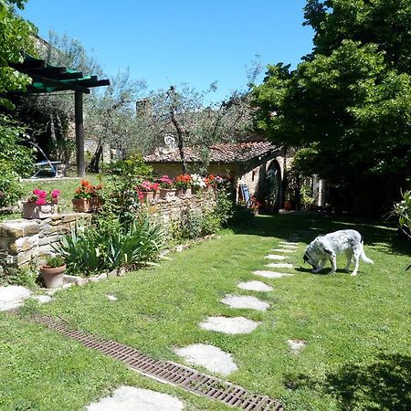 Casa Mezzuola Agriturismo Villa Greve in Chianti Luaran gambar