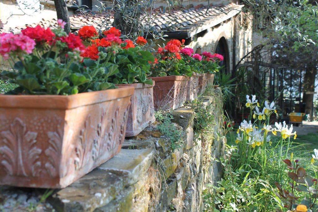 Casa Mezzuola Agriturismo Villa Greve in Chianti Luaran gambar